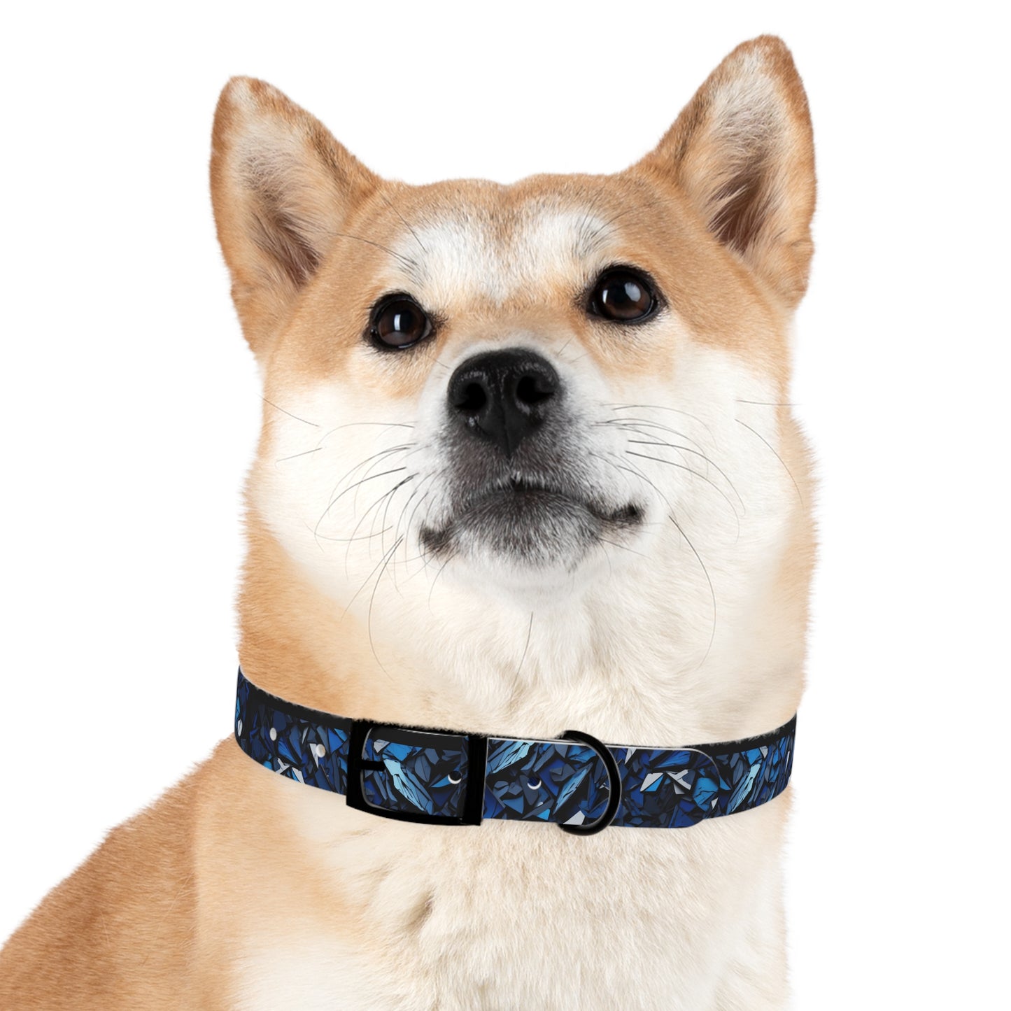 Sapphire Abyss - Dog Collar