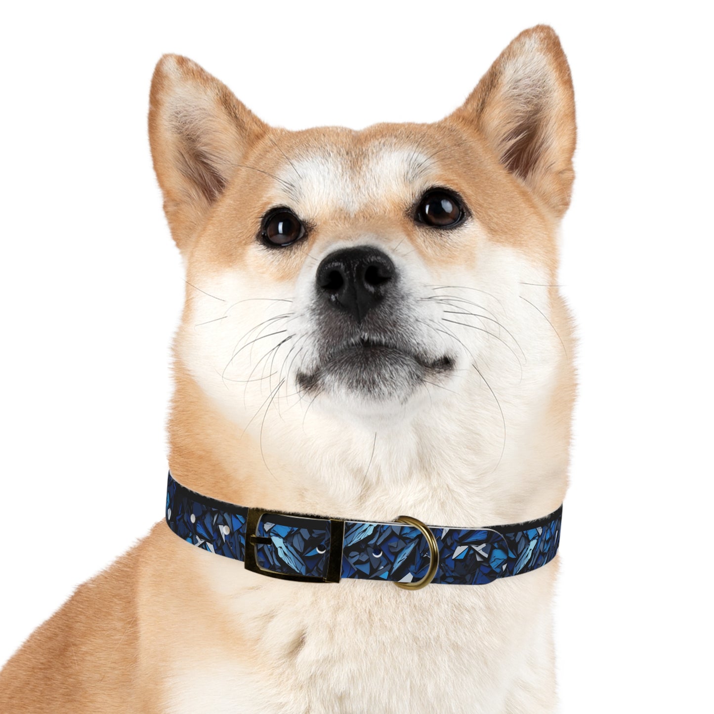 Sapphire Abyss - Dog Collar